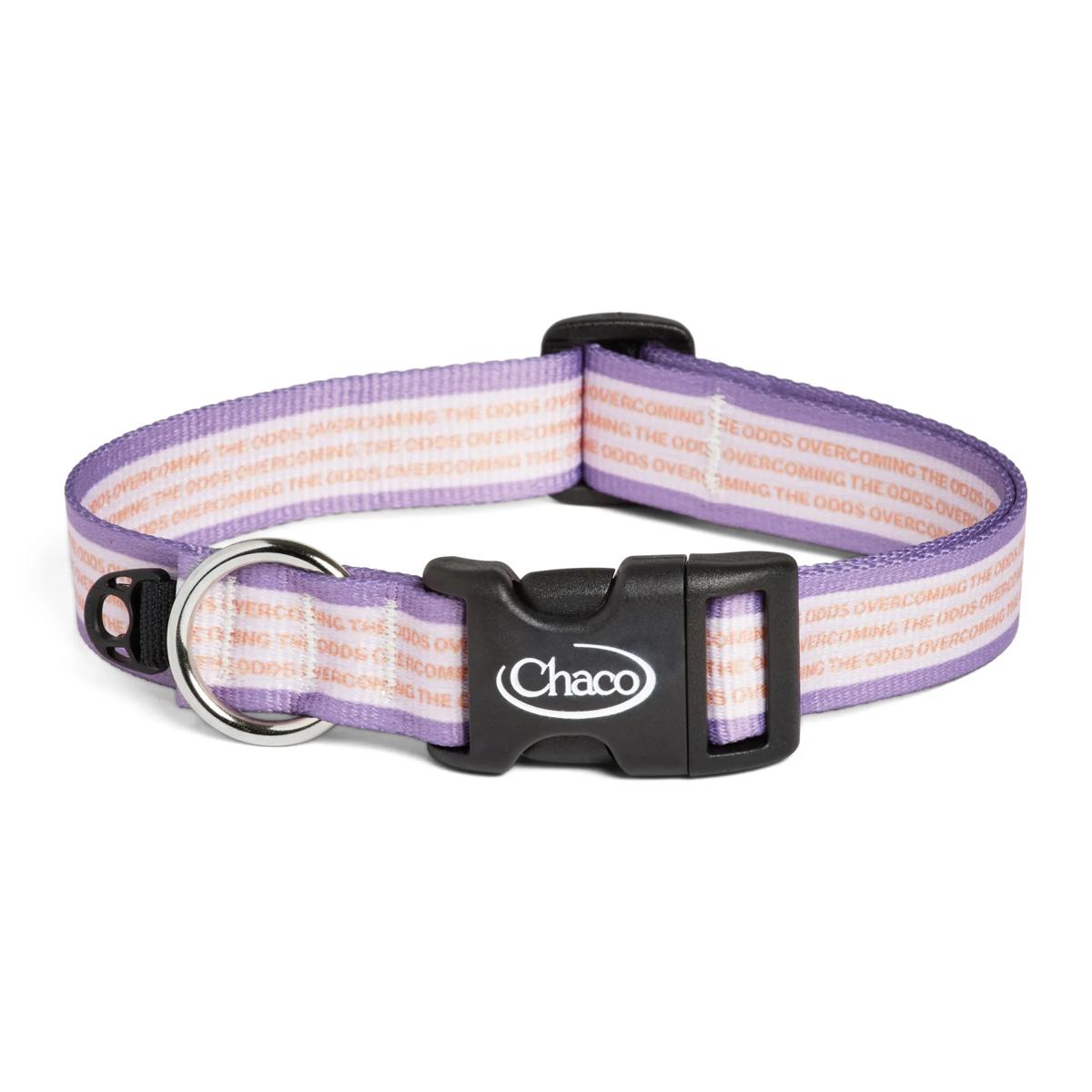 Dog Collar - Overcoming the Odds - Overcoming the Odds