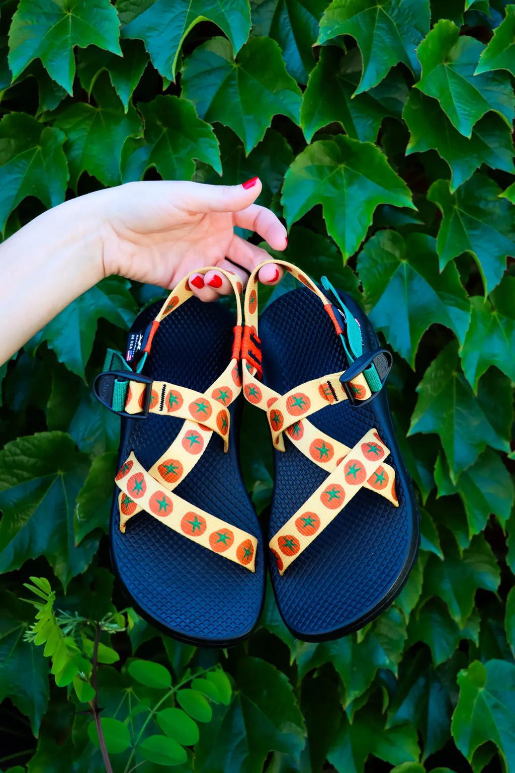 Women's Z/1 Classic Sandal - Limited Edition - Mato