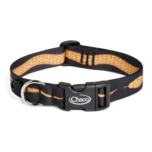 Chaco x Creek Rat Dog Collar - Corn Snake