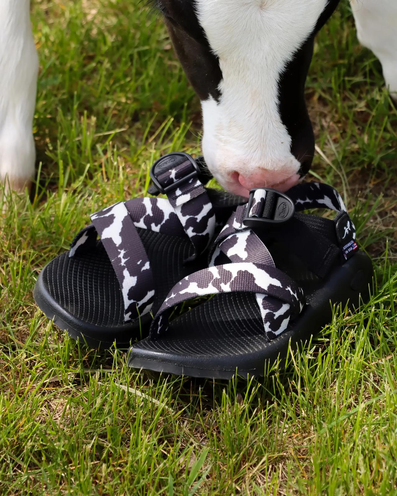 Women's Mega Z/1 Wide-Strap Classic Sandal - Limited Edition - Black + White Cow