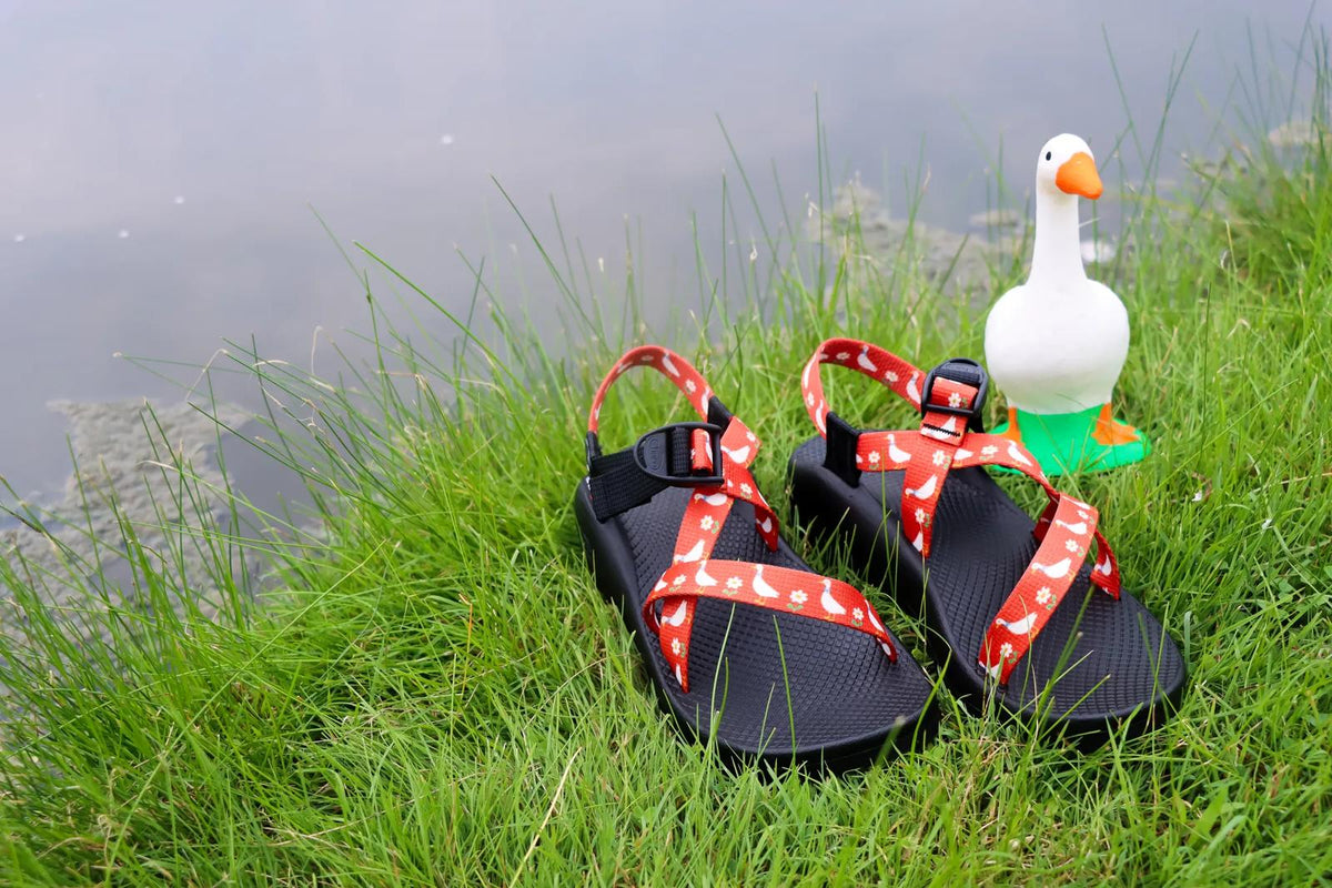 Women's Z/1 Classic Sandal - Limited Edition - Red Silly Goose