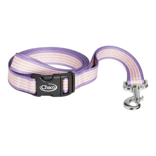 Dog Leash - Overcoming the Odds - Overcoming the Odds