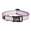 Dog Collar - Overcoming the Odds - Overcoming the Odds