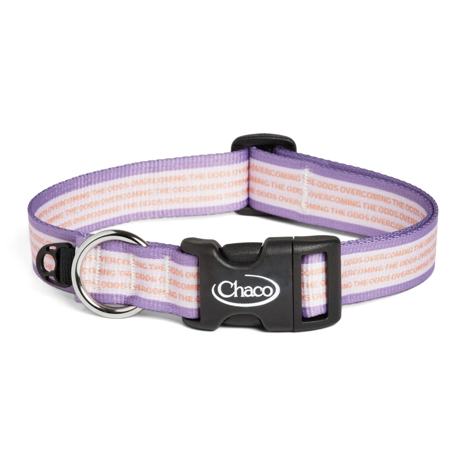 Dog Collar - Overcoming the Odds - Overcoming the Odds
