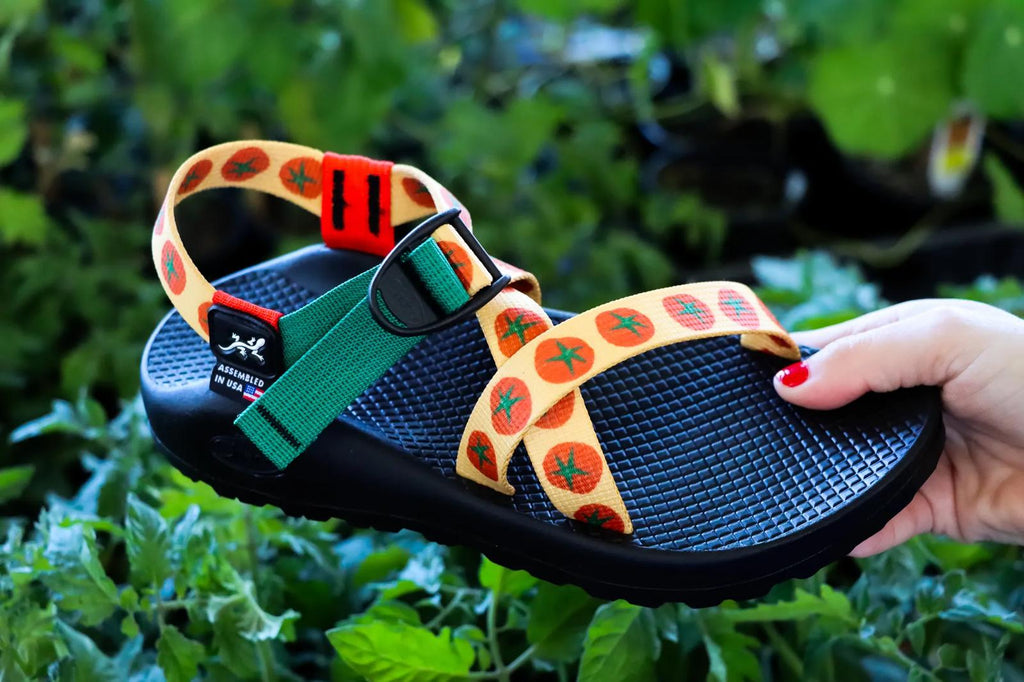 Women's Z/1 Classic Sandal - Limited Edition - Mato