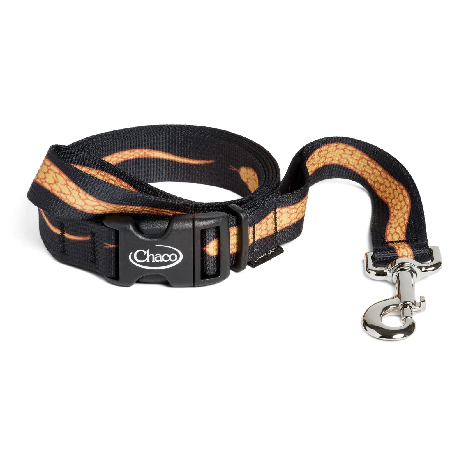 Chaco x Creek Rat Dog Leash - Corn Snake
