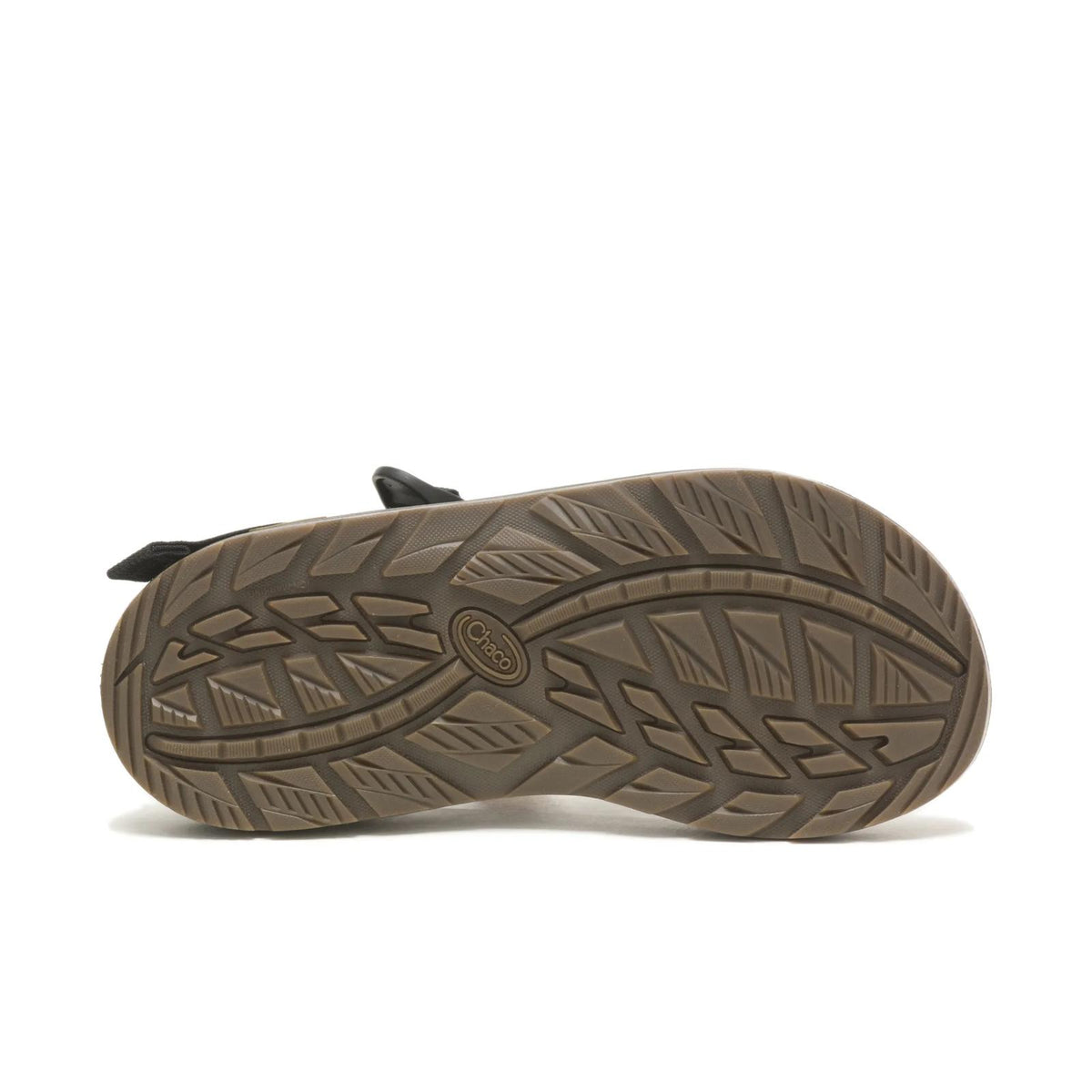 Men's Z/1 Adjustable Strap Classic Sandal - Tetra Moss