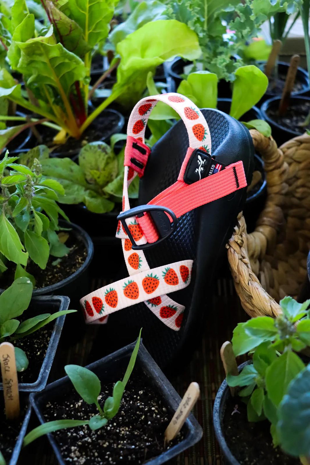 Women's Z/1 Classic Sandal - Limited Edition - Strawb